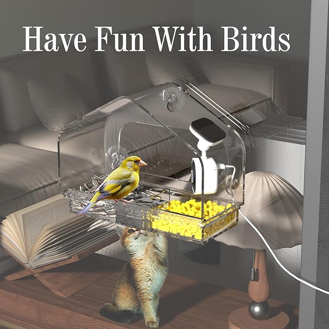 Smart Window Bird Feeder with Camera, 24/7 Powered for 2K HD Live View & AI Species ID, Wild Bird House with 3 Strong Suction Cups, Gift for Bird Watchers (Clear)