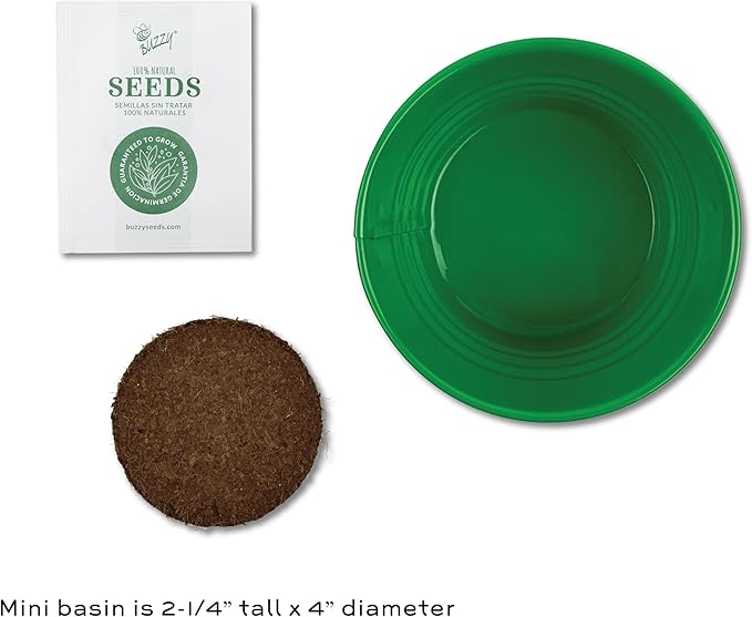 BUZZY Seeds Mini Basin Sensitive Plant Grow Kit with Green Planter, Touch Responsive Tickle Me Plant for Kids and Adults, Fun Indoor Gardening DIY Kit