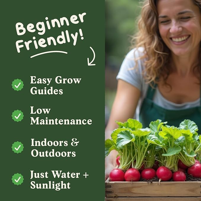 Seedboy Organic Radish Seeds for Planting Indoor and Outdoor, Non-GMO and USDA Certified Vegetable Seed Packet for Hydroponic Garden Indoor or Planting Outdoors (Cherry Belle Radish)