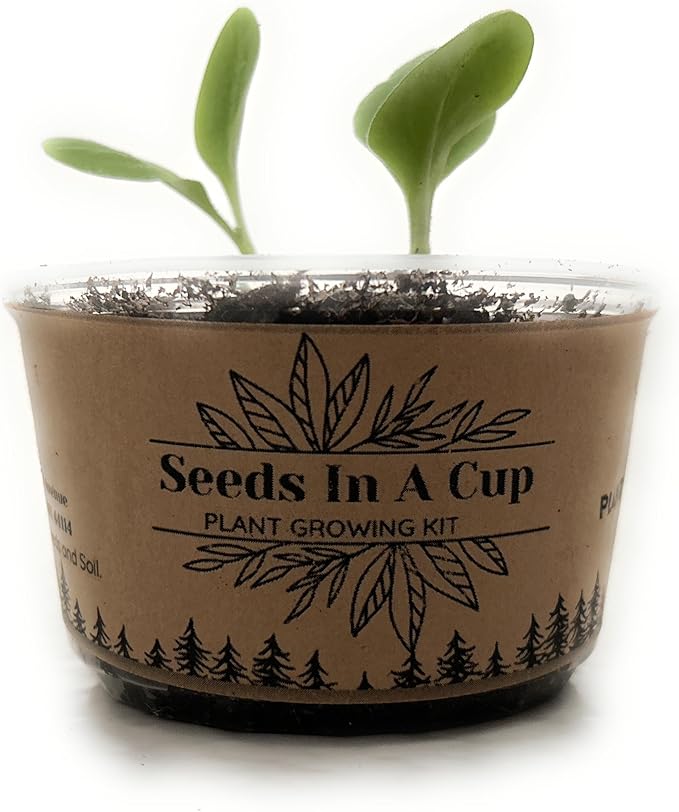 Peach Tree | Seeds In A Cup: Tree Starter Kit | Easy to use | Educational | Memorial Gift | Plant It for The Planet | Grow Your Own Tree |