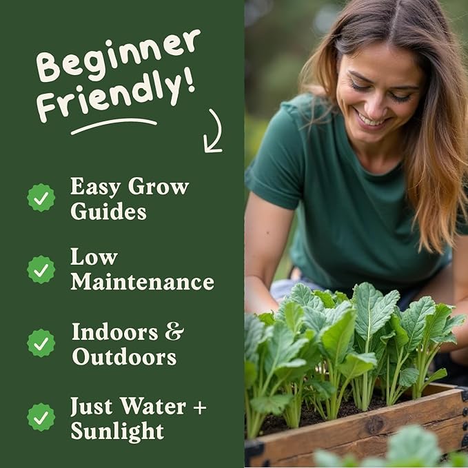 Seedboy Organic Spinach Seeds for Indoor Gardening or Planting Outdoors, Non-GMO and USDA Certified Vegetable Seed Packets, 350 Seeds/4 Grams (Bloomsdale Spinach)