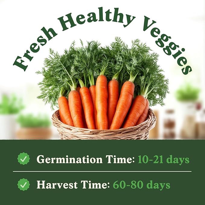 Seedboy Organic Carrot Seeds for Planting Indoor and Outdoor, Non-GMO and USDA Certified Vegetable Seed Packet for Hydroponic Garden Indoor or Planting Outdoors (Scarlet Nantes Carrots)