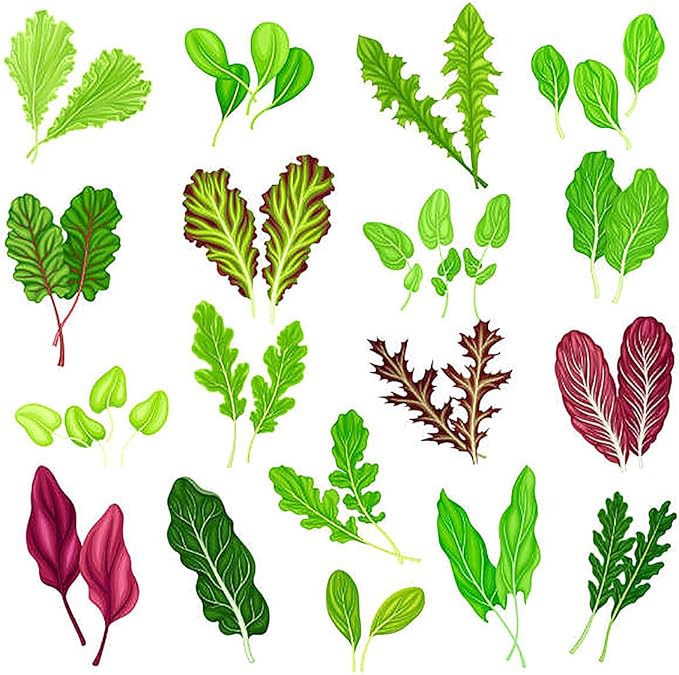 Lettuce Seed Mix of 9 Greens - Mesclun Mix - Fall Crop and Cool Season Planting