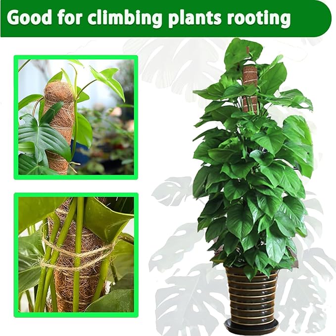 Moss Pole, 4 Pack 17Inch Monstera Plant Support for Climbing Plants Accessories Indoor -Stackable Moss Poles Plant Support Stakes -Coir Plant Pole Sticks for Potted Plants -Pothos, Tall Plant Trellis