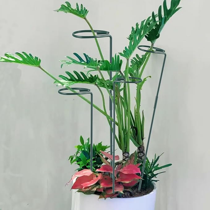 Plant Stake Support - 6 Pack Adjustable Height 12" or 24", Garden Support Stake Plant Cage Support Rings, Single Stem Plant Support Stakes, for Flowers Amaryllis Tomatoes Peony Lily Rose (24inch)