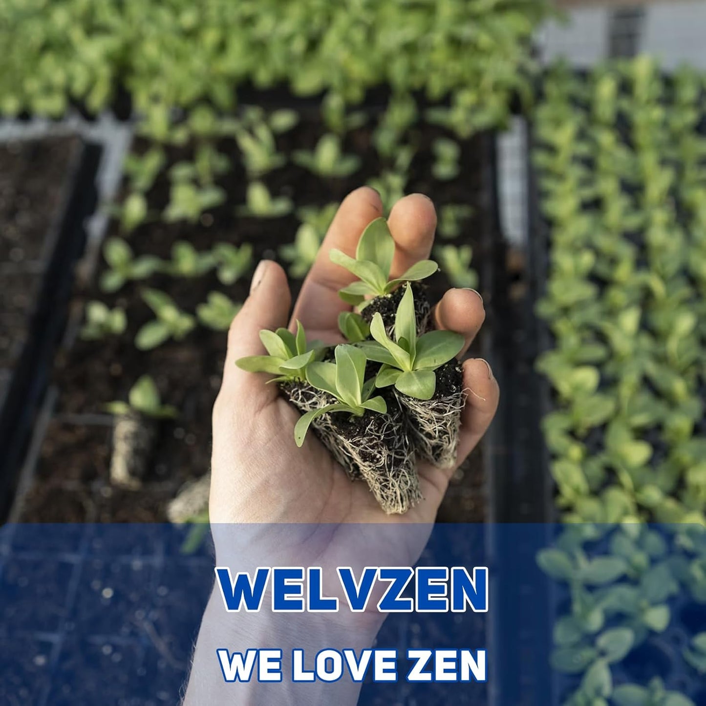 Hydroponics Grower, Vegetable Growing System for Home & Garden, Hidroponico Gardening Kit for Inddor (Vertical)