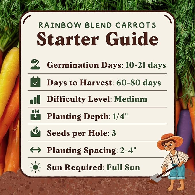Seedboy Organic Rainbow Carrot Seeds for Planting Indoor and Outdoor, Non-GMO and USDA Certified Vegetable Seed Packet for Hydroponic Garden Indoor or Planting Outdoors (Rainbow Carrots)