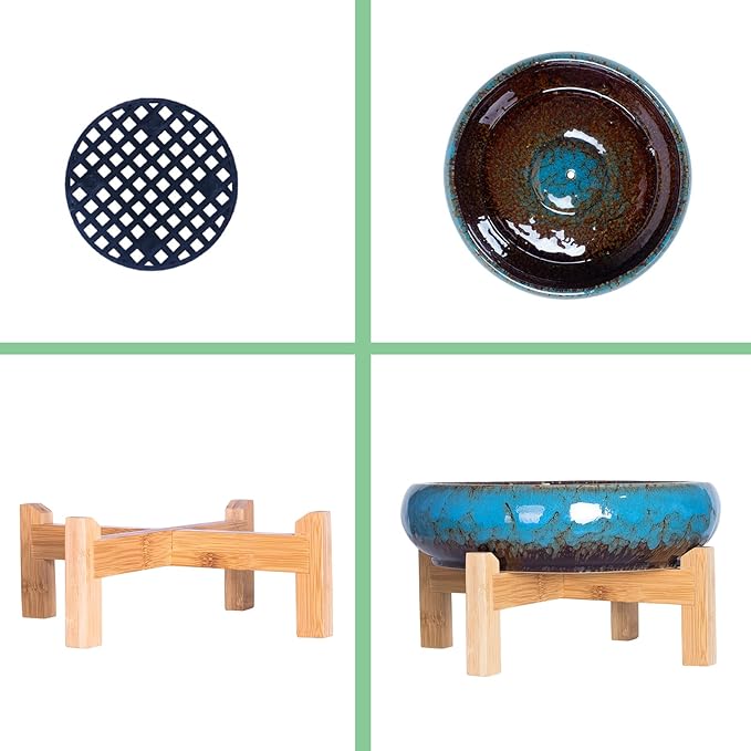 Succulent Pots - Large Succulent Planters Pots with Drainage, 10 Inch Ceramic Bonsai Pot with Stand Round Shallow Planter for Indoor/Outdoor Plants Decorative Garden Cactus Flower Container Bowl