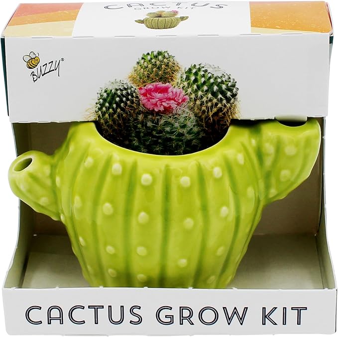 BUZZY Seeds 4pk Mini Cactus Grow Kit with Ceramic Planter, Succulent Seeds, Growing Medium, Easy Instructions, Indoor Gardening Gift for Beginners, Birthdays, Housewarming and Home or Office Décor