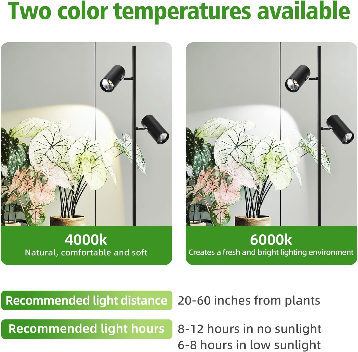 60W Dimmable Grow Light, Full Spectrum COB LED Dual-Head Floor Lamp with High CRI, 6/8/12H Timer, Adjustable Height (37"-77") & Angle โ Standing Grow Lights for Indoor Plants (Daylight 6000K)