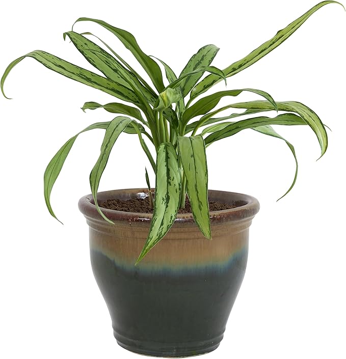 Sunnydaze Large Ceramic Plant Pot - Round Outdoor Glazed Ceramic Planter Pot with Drainage - Studio - Forest Lake Green - 14.5"