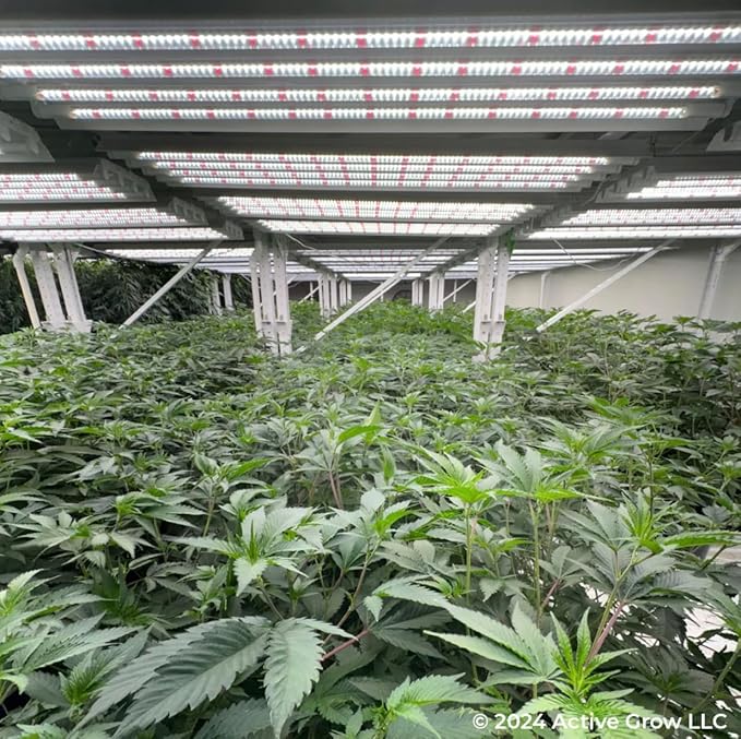 Active Grow 4FT T5 HO LED Grow Light – 4×25W Full Spectrum Panel, Sun White Pro, Daisy-Chainable – Ideal Grow Light for Indoor Plants, Seeds & Starts, T5 Grow Lights Fixture