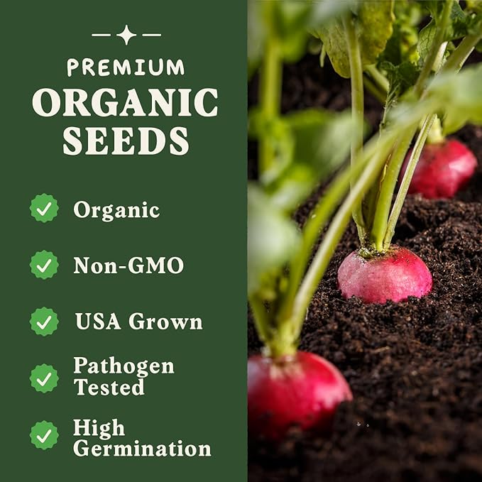 Seedboy Organic Radish Seeds for Planting Indoor and Outdoor, Non-GMO and USDA Certified Vegetable Seed Packet for Hydroponic Garden Indoor or Planting Outdoors (Cherry Belle Radish)