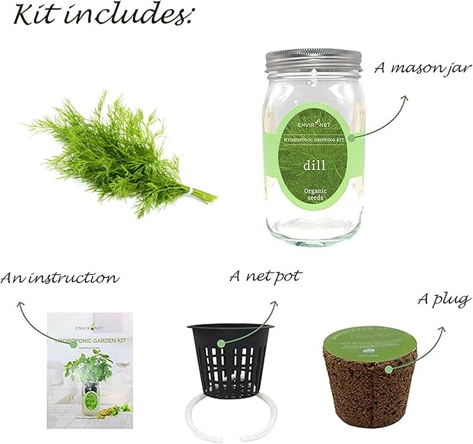 Hydroponic Herb Growing Kit, Self-Watering Mason Jar Herb Garden Starter Kit Indoor, Windowsill Herb Garden, Grow Your Own Herbs from Organic Seeds (Dill)