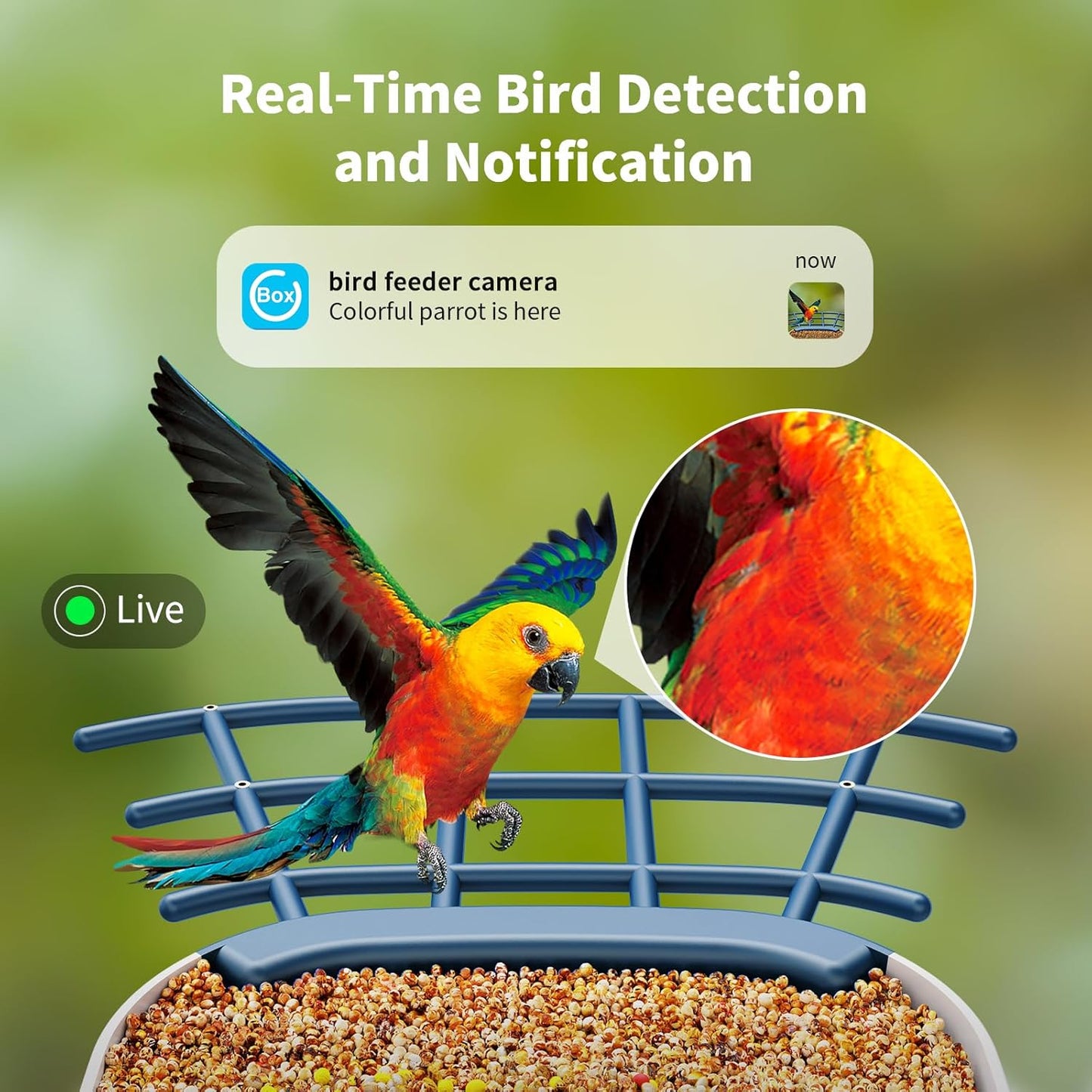 SEHMUA Bird Feeder with Camera, Solar Powered, AI Identify 10,000+ Species, Smart Bird Feeder with Live View, Ideal Present, 2.4GHz WiFi, Blue