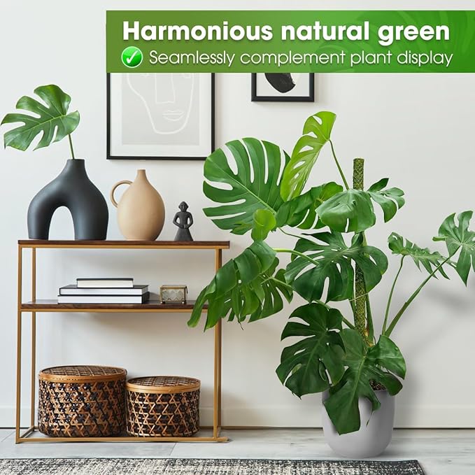 DUSPRO 42ββ Mesh Moss Pole for Climbing Plants, Natural Moss Pole Monstera Plant Support, Real Moss Poles for Plants Indoor, Moss Stick for House Plants, Moss Stakes for Climbing Plants