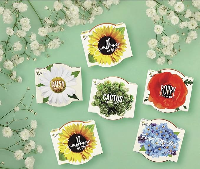 BUZZY Seeds Mini Terracotta Grow Pots Daydream Collection, Assorted 6-Pack Flower and Plant Seed Starter Kit for Kids and Adults, Indoor Gardening Gift, Holiday Present, Stocking Stuffer