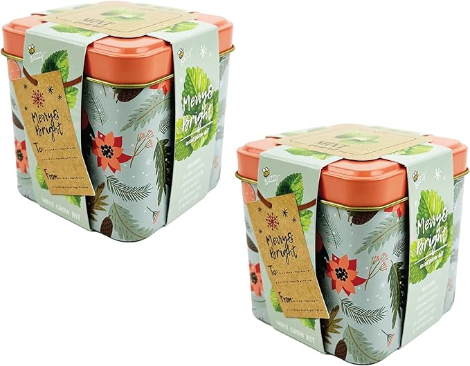 BUZZY Seeds Holiday Mint Square Tin 2-Pack Grow Kit Complete with Non-GMO Seeds and Growing Medium in Decorative Collectible Tins, Stocking Stuffer, Party Favors