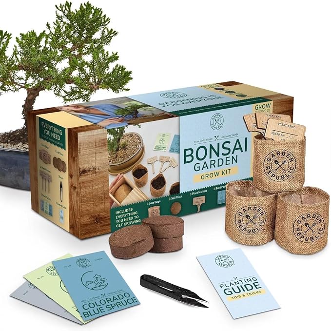 Garden Republic Medium Bonsai Tree Kit, Grow 3 Mini Bonsai Trees, Indoor Plant Growing - Starter Kit with Seeds, Soil, Planters & Shears, Gardening Gifts