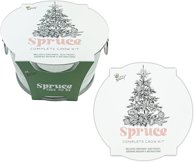 Buzzy Seeds Spruce Christmas Tree to Be Grow Kit, Complete with a Mini Galvanized Basin Planter, Non-GMO Seeds and Growing Medium, Fun DIY Holiday Gardening Gift, Stocking Stuffer, Party Favor