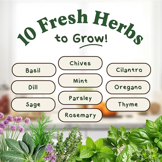 Seedboy Organic Non GMO 10 Herb Variety Pack: Basil, Cilantro Mint Oregano Parsley Thyme Chives Dill Sage Rosemary for Planting Indoor and Outdoor, 5460 USDA Certified Seeds (10 Herb Variety Pack)