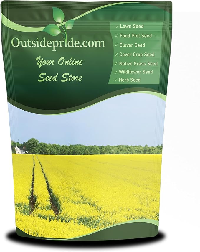 Outsidepride Trophy Forage Rape Seed - 50 Lbs Heat, Cold & Drought-Tolerant Brassica Food Plot Seed, Ideal for for Deer & Livestock Grazing, Fall Planting, Soil Improvement, & Erosion Control