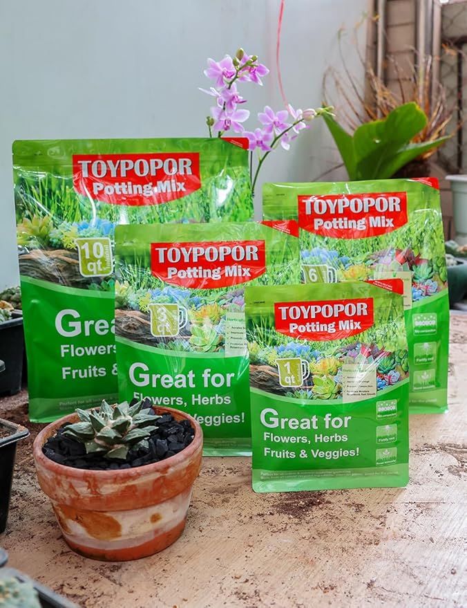 TOYPOPOR Horticultural Charcoal for Indoor Plants (3 Quarts) Hardwood Potting Soil Amendment Helps Improve Drainage for Orchids, Succulent, Cactus, Terrariums, and Gardening