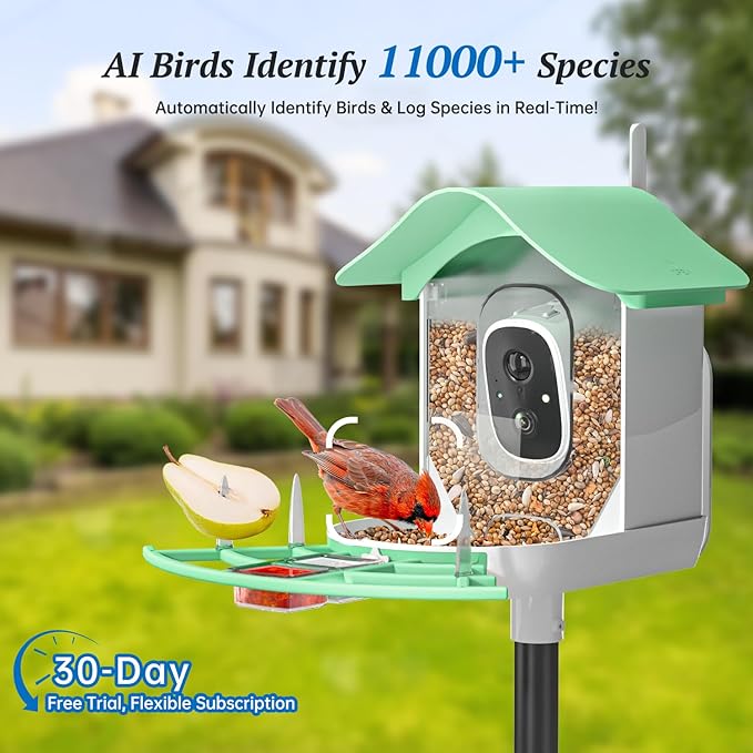 Smart Bird Feeder with Camera, 2K HD AI Identify Birds Species, Bir d Watching Camera with Solar Panel, Instant Notifications, Ideal Present for Bir d Lover, Grass Green