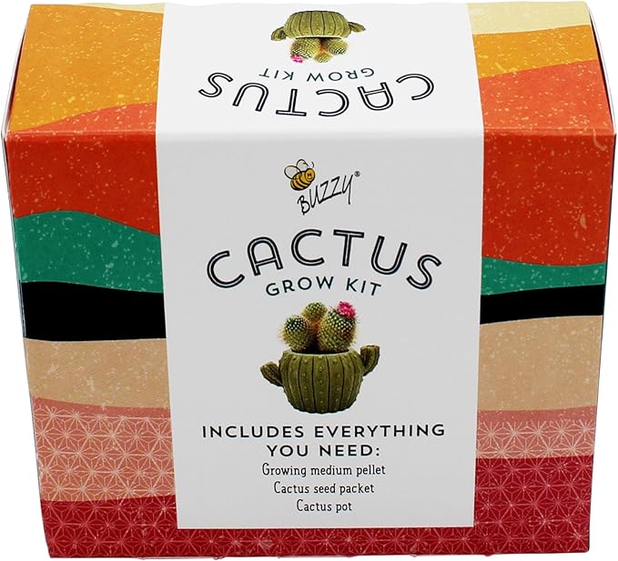 BUZZY Seeds 4pk Mini Cactus Grow Kit with Ceramic Planter, Succulent Seeds, Growing Medium, Easy Instructions, Indoor Gardening Gift for Beginners, Birthdays, Housewarming and Home or Office Décor