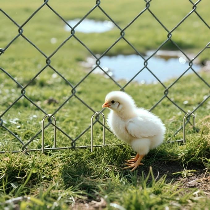 AAGUT 6 Inch Landscape Stakes 50 Pack Garden Drip Irrigation Tubing Stakes Heavy Duty 11 Gauge Galvanized Ground Staples Lawn U Hooks for Soaker Hose, Chicken Wire, Chain Link Fence, Dog Fence