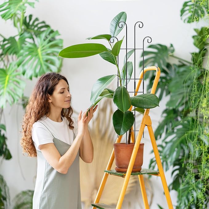 Coomin 32.6in Monstera Plant Support Stakes for Outdoor Plants, Garden Trellis for Climbing Plants, Metal Stakes for Potted Plants Pothos Plant Climber Support, 2P