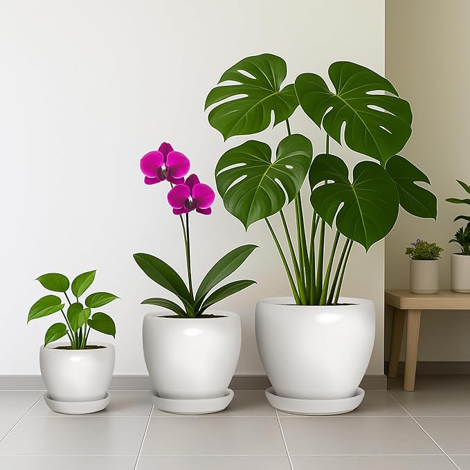 Deep Dream 8 Inch Plant Pot - Ceramic Planter with Drainage Hole and Trays, Modern Round Flower Pot, Planters for Indoor Outdoor Plants, Home Garden Decor, White