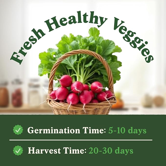 Seedboy Organic Radish Seeds for Planting Indoor and Outdoor, Non-GMO and USDA Certified Vegetable Seed Packet for Hydroponic Garden Indoor or Planting Outdoors (Cherry Belle Radish)