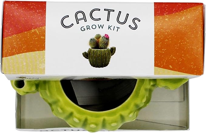 BUZZY Seeds 4pk Mini Cactus Grow Kit with Ceramic Planter, Succulent Seeds, Growing Medium, Easy Instructions, Indoor Gardening Gift for Beginners, Birthdays, Housewarming and Home or Office Décor