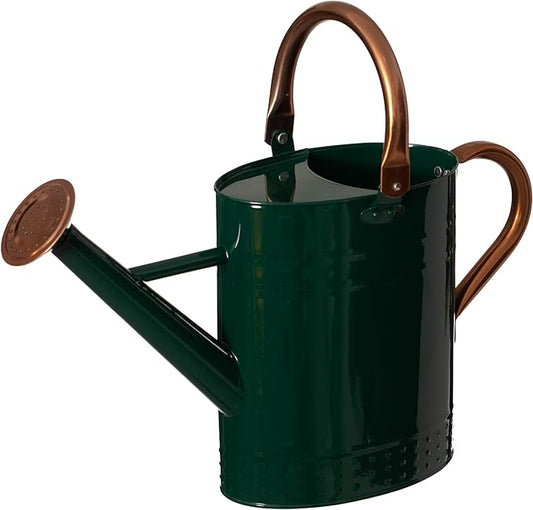 Gardenised 1 Gallon Galvanized Metal Watering Can with Removable Long Spout & Sprinkler Head for Indoor & Outdoor Use Ideal for Garden Flowers Potted Plants Houseplants Modern Home Accessories, Green