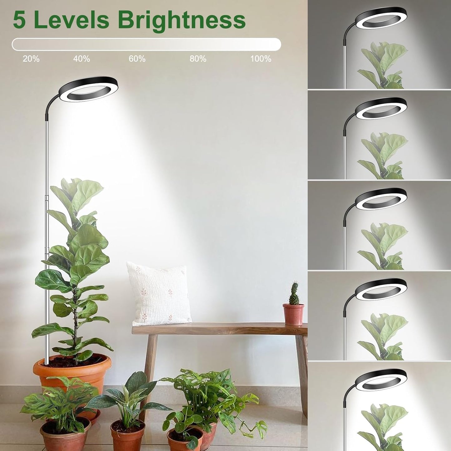 Wolezek Grow Lights for Indoor Plants Full Spectrum, 80 LEDs 3 Colors Grow Light, 65in Large Plant Lights for Indoor Growing with 360ยฐGooseneck, 6/12/16H Timer, 5 Brightness, Height Adjustable, Black