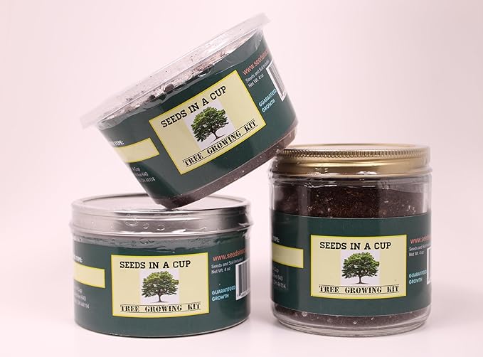 Tree Starter Kit - Japanese Maple