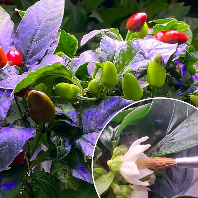 10 Pack Pollination Brush for Indoor Hydroponic Garden,Suitable for Tomatoes, Peppers and Other Flowering Plants Grown in Hydroponic Growing System