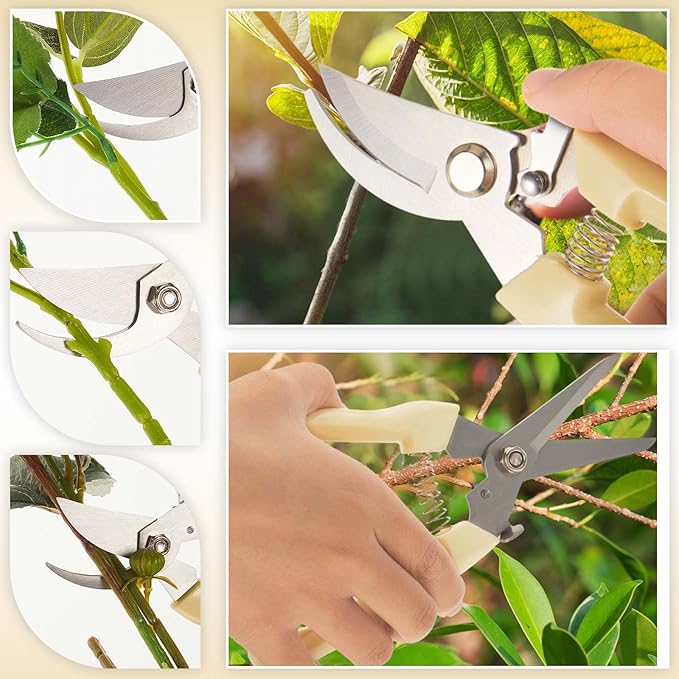 Amylove 24 Pcs Garden Flower Shears Pruning Scissors Heavy Duty Plant Scissors Garden Clippers Hand Bypass Pruner for Gardening Plants Hedge Flower Tree Cutting Miniature Bonsai Modeling(Beige)
