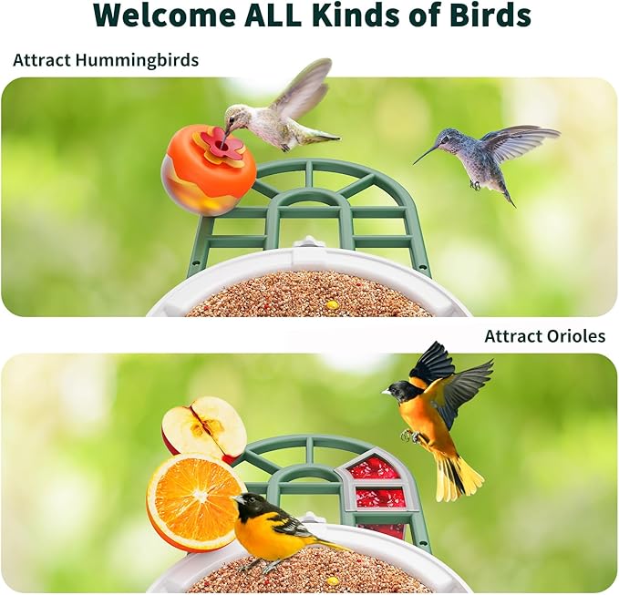 Bird Feeder with Camera with AI Identify Birds Species Solar Panel, Smart Bird House with Cam, 2K Live View, Instant Arrival Alerts