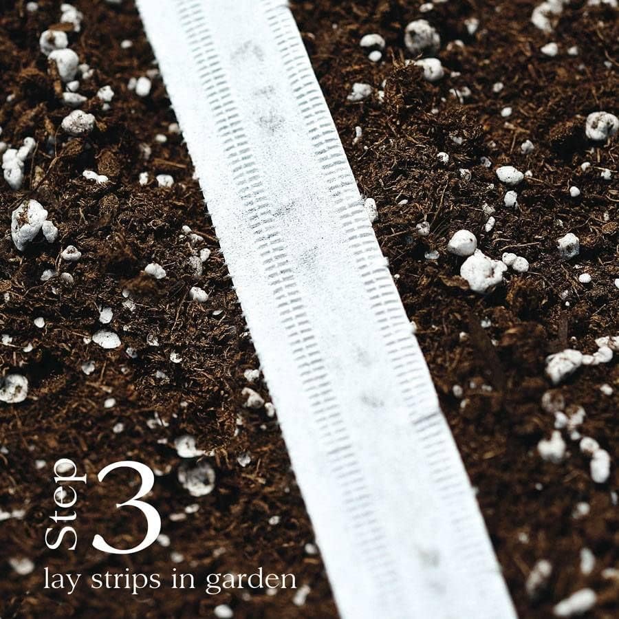 Park Seed Sow Effortless Collection Seed Tape – Rainbow Mix Beet, 15 Feet – Easy Planting, 5 Distinct Gourmet Varieties, Colorful Roots & Greens, Cool-Weather Crop, No Thinning, 50–55 Days to Maturity