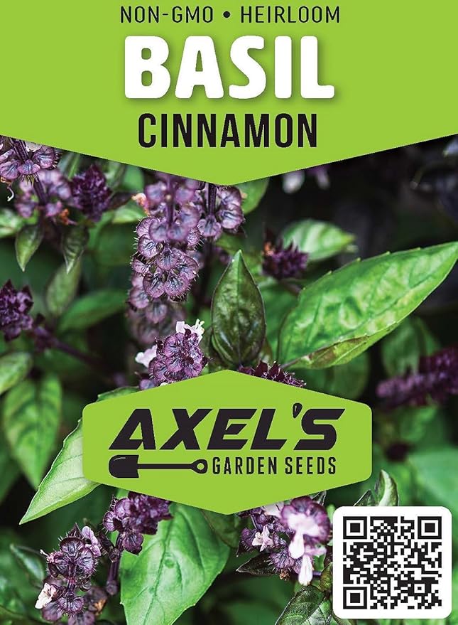 Cinnamon Basil Seeds for Planting Heirloom Non GMO Packets 750 Seeds – Plant & Grow Cinnamon Basil Indoor Hydroponics or Outdoor Gardening, Great Gardening Gift – 2 Packets, Purple