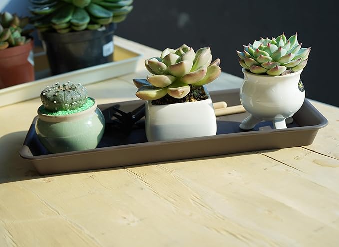 6 Pack Rectangular Plastic Plant Tray Saucer, Brown, 6 x 11 Inch, Modern Style, Durable, For Indoors & Outdoors, Protects Floor from Water, Fits Most Windowsills