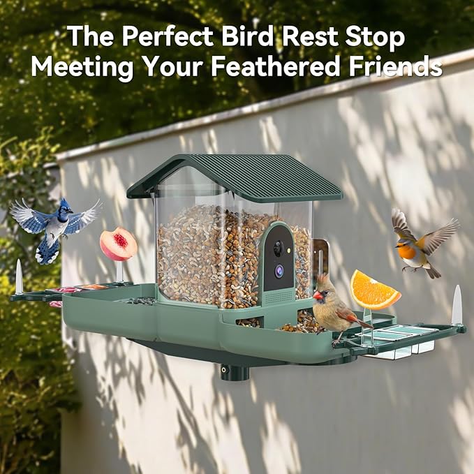 Dual-Lens Bird Feeder with Camera & Bird Bath Combo, Watch Birds Eat & Bathe with WiFi 2K HD Video, Auto Record, AI Recognition, APP Alerts, Solar Powered, for Backyard Garden Porch Fence Decor