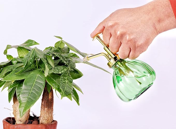 Glass Plant Mister Spray Bottle, 6.5" Green Glass Water Spray Bottle with Gold Top Pump Small Watering Can, Small Plant Sprayer Mister for Indoor Outdoor House, Green+Gold (Green+Gold C)
