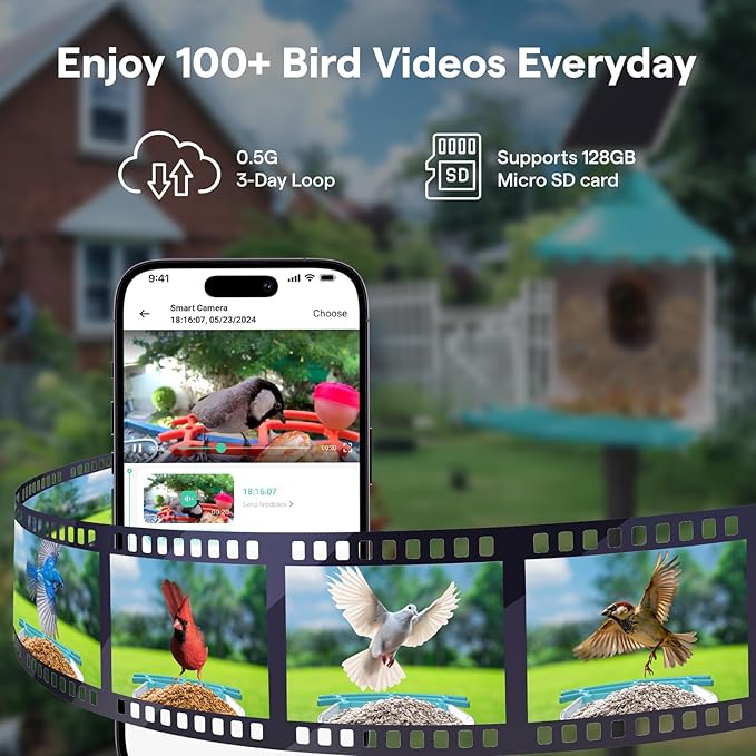 BirdsView Solar Powered Bird Feeder with 2K Ai Camera, Hummingbird Feeder, Bird House Camera, Live Alerts & Species Recognition โ Gift for Bird Lovers