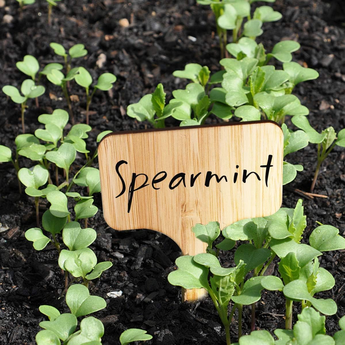 Homenote Bamboo Plant Labels 100Pcs Plant Tags for Seedling T-Type Tags for Plants Outdoor Garden Markers Vegetable Seedling(2.36 * 4โ)