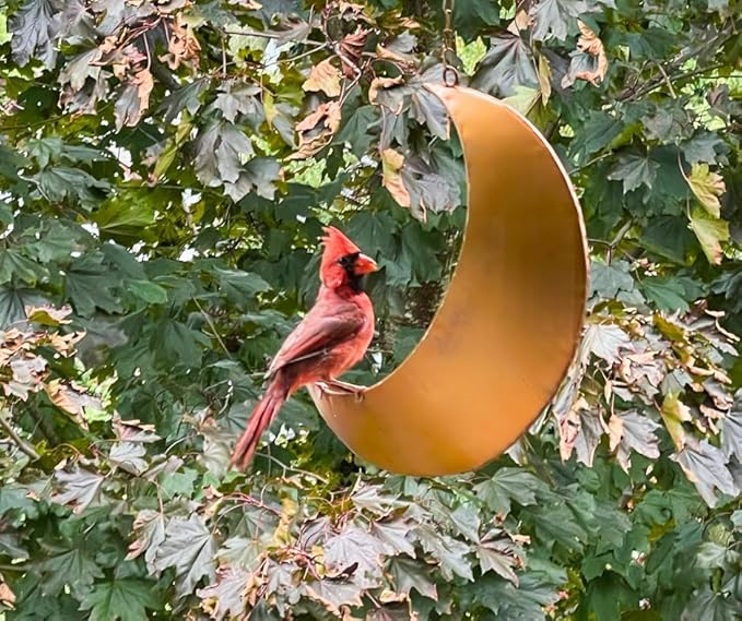 Hanging Moon Bird Feeder – Unique Metal Bird Feeders for Outdoors, Antique Gold, Rust-Resistant, Drain Holes – Wild Bird Feeder for Bluebirds, Cardinals, Finches, and Backyard Birdwatching