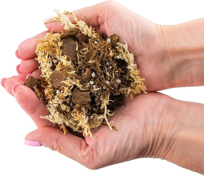 Gardenera Premium Orchid Mix by GARDENERA | Fern + New Zealand Pine Bark + Sphagnum Moss + Perlite | Best for Growing and Repotting Orchids - 4 Quart Bag