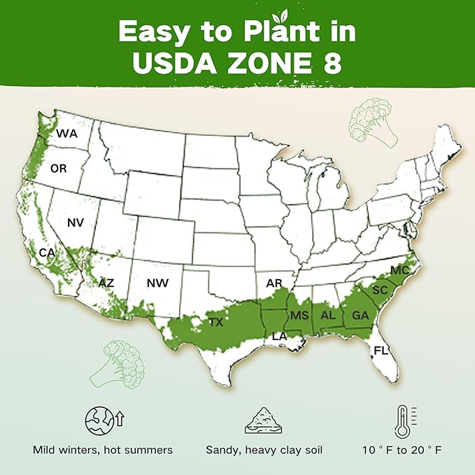 USDA Zone 8 Heirloom Seed Bank, 30,000+ Non-GMO 32 Varieties of Seeds for Planting Vegetables, Survival Seed Kit for Raised Garden Bed, Greenhouse, Gardening Gifts for Women Men